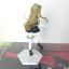 Minami Kotori No Brand Girls - PM Figure - Love Live! School Idol Project (SEGA)